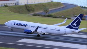 Avion Tarom, lovit de un fazan la Satu Mare! În urma impactului, unul dintre motoarele avionului a..