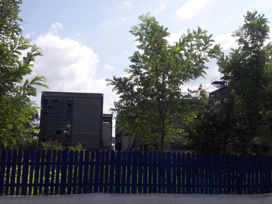 La Vadu nu a rămas mai nimic din industria de vârf a lui Ceaușescu