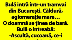 BANCUL ZILEI | Bulă intră într-un tramvai din București