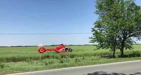 Galerie foto - poza 4