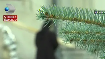 VIDEO Inainte sa ramana gravida, maica stareta mergea la mare! Altele ca ea se duceau si la discoteca