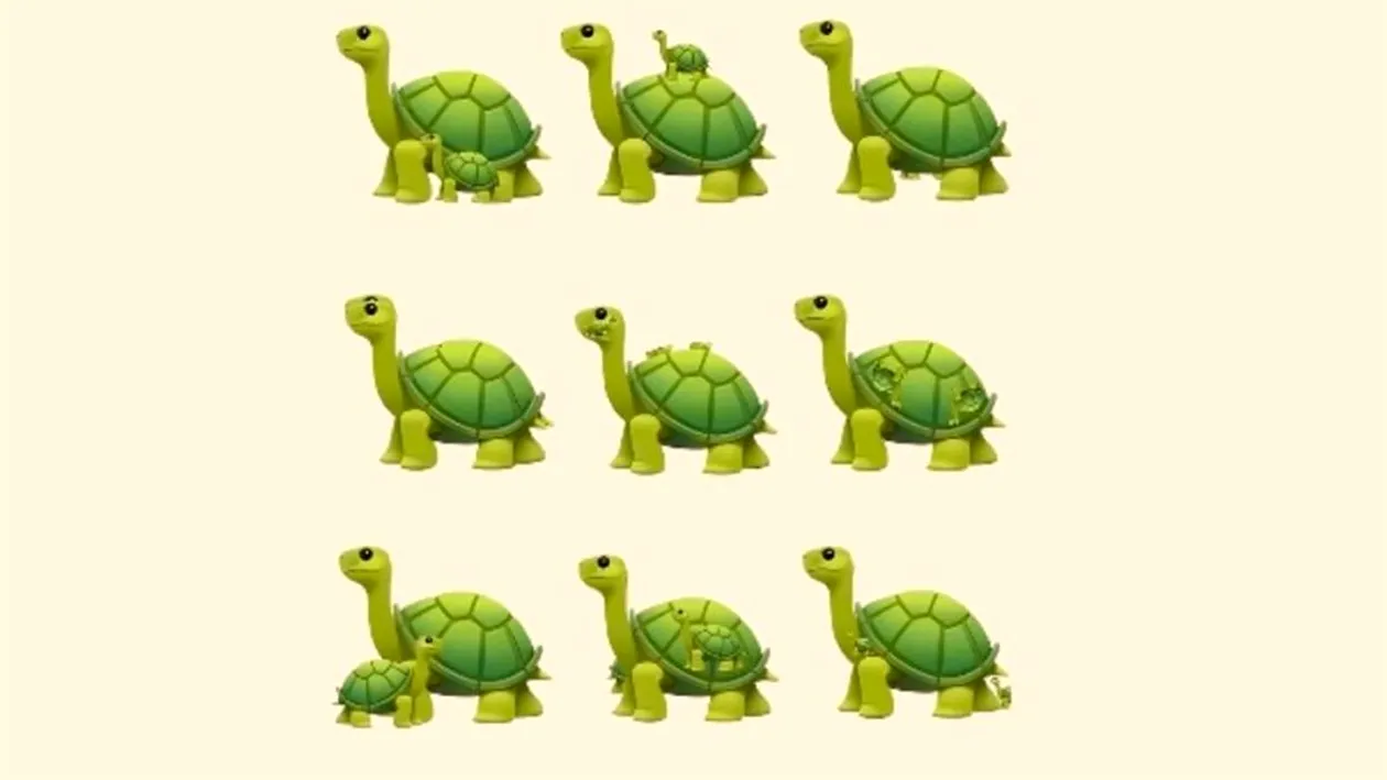 TEST IQ | Câte broaște țestoase sunt, de fapt, în această imagine?