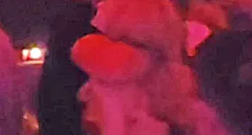 Galerie foto - poza 3