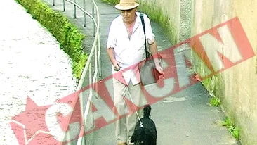 Cainii si pisicile din Brasov, monitorizati cu microcipuri