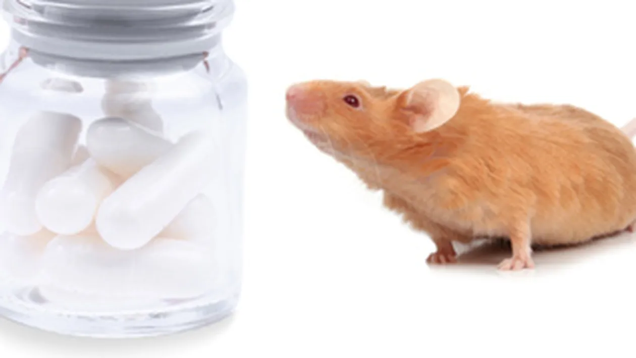 Un barbat a murit iar doi copii sunt in spital, dupa ce au inhalat otrava pentru sobolani