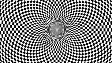 Testul IQ la care 99% se lasă bătuți | Ce animal se ascunde în această iluzie optică virală?