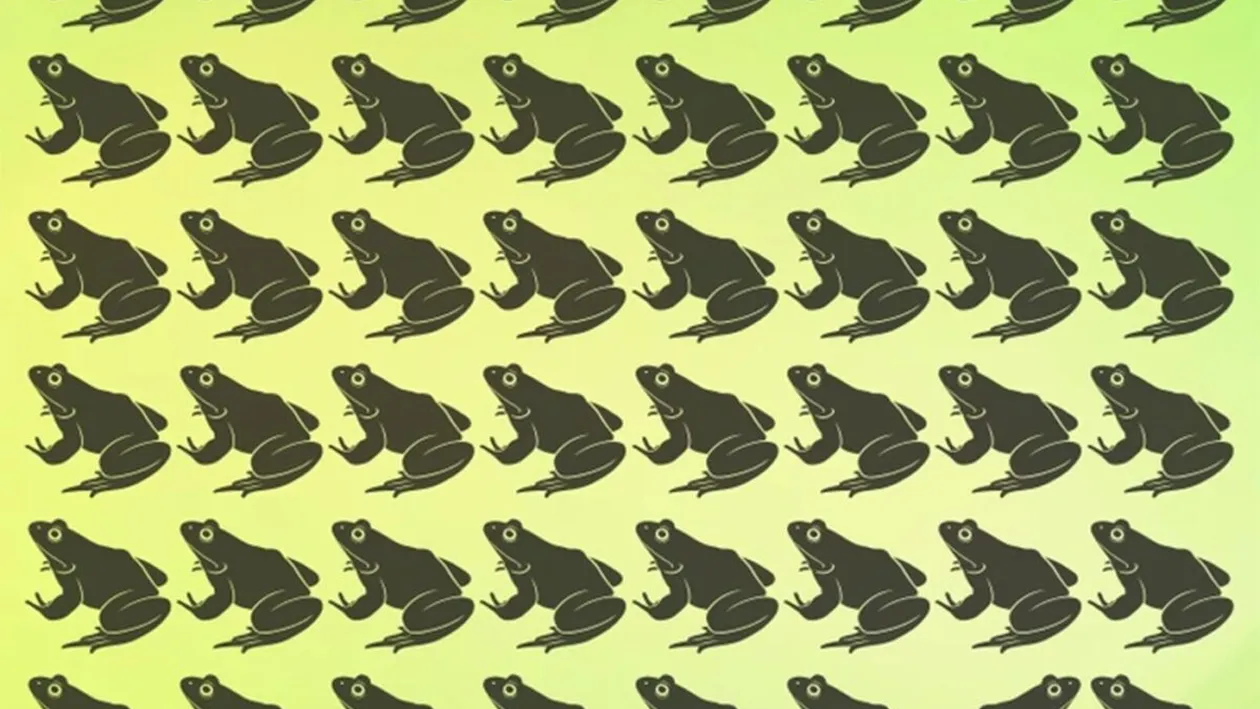 Test de inteligență | Care broască este diferită de toate celelalte?