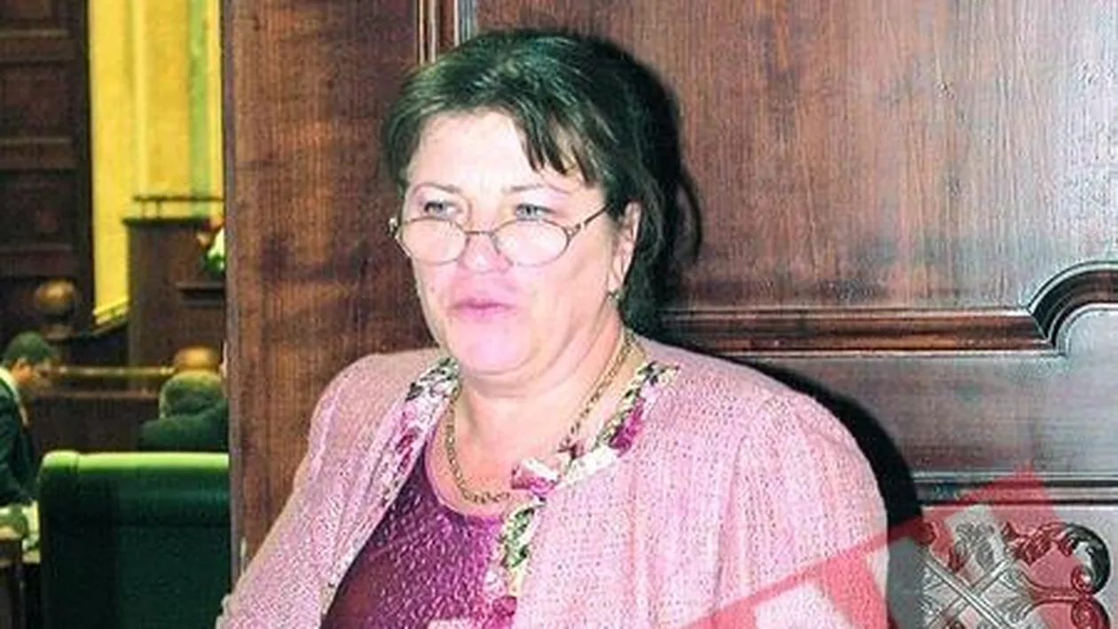 CNSAS nu o mai verifica pe Norica Nicolai