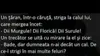 BANCUL ZILEI | „Diii, Murgule! Dii, Florică! Dii, Surule!”