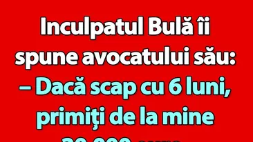 BANC | Bulă, avocatul și onorariul de 20.000 euro