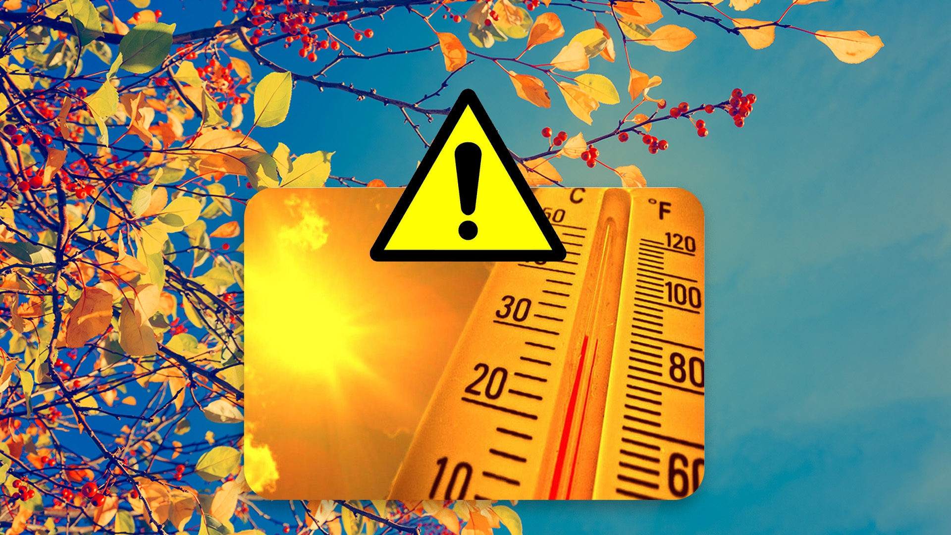 Cod galben de caniculă în România. ANM a actualizat prognoza meteo