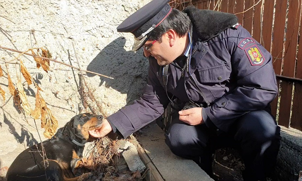 Chira este felicitată pentru curajul ei