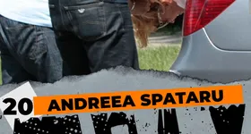 Galerie foto - poza 3