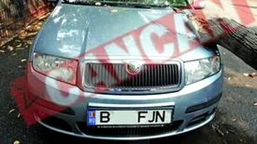 Masina avariata de un copac doborat de furtuna