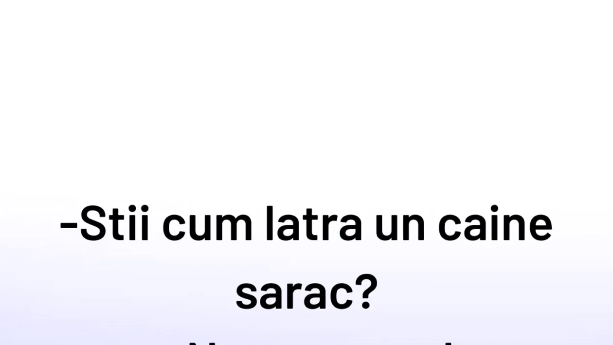 BANCUL ZILEI | Cum latră un câine sărac
