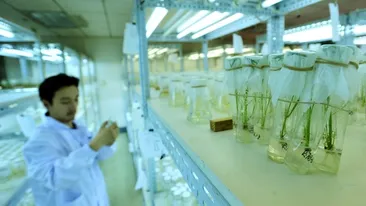 Anunţul făcut de ministrul Cercetării: ”Ăsta e plafonul de salarizare acum...”