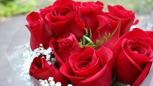 Valentine’s Day te poate costa o avere, daca alegi sa cumperi cel mai scump buchet de trandafiri
