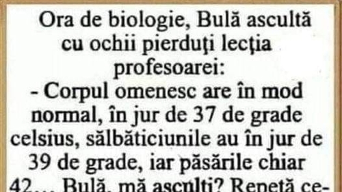 BANC | Bulă, la ora de biologie: "Omul are 37 de grade Celsius, dar când devine sălbatic.."