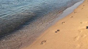 Serialul ”țeapă la cazare” continuă în stațiunea Mamaia. Dezvăluirile făcute de turiștii români aflați în vacanță pe litoral: ”Am plătit 200 ron pe 2 șezlonguri și seara am vrut să plec cu ele acasă”