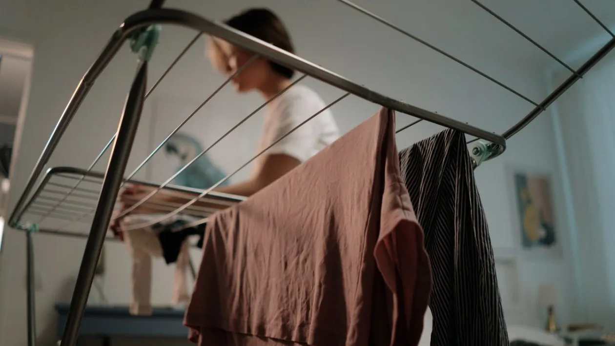 Avantaje și dezavantaje: să alegi sau nu o stație de călcat?