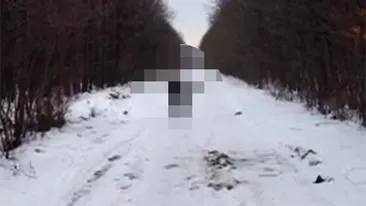 VIDEO Aparitie crepusculara pe un drum forestier din Romania! Ce a surprins pe camere un vanator, a uimit pe toata lumea