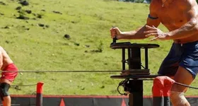 Galerie foto - poza 2