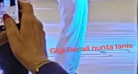 Galerie foto - poza 2