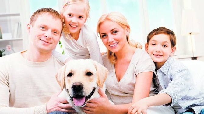 Celebrul dresor Cesar Millan ne da cele mai bune ponturi pentru dresaj si acomodare