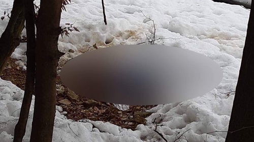 A fost identificat bărbatul decapitat în Baia Mare! Ies la iveală detalii șocante