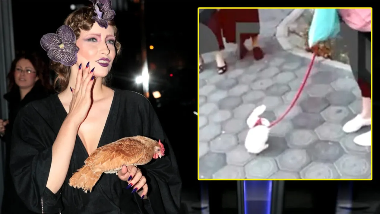 Mai tare decât găina Iuliei Albu! Cu ce animal de companie, în lesă, a ieșit o femeie în centrul Iașiului