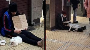 Cum sunt exploatați câinii în București tot mai des și Poliția Română nu face nimic: „Conform legii, el abuzează animale”