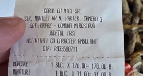 Galerie foto - poza 3