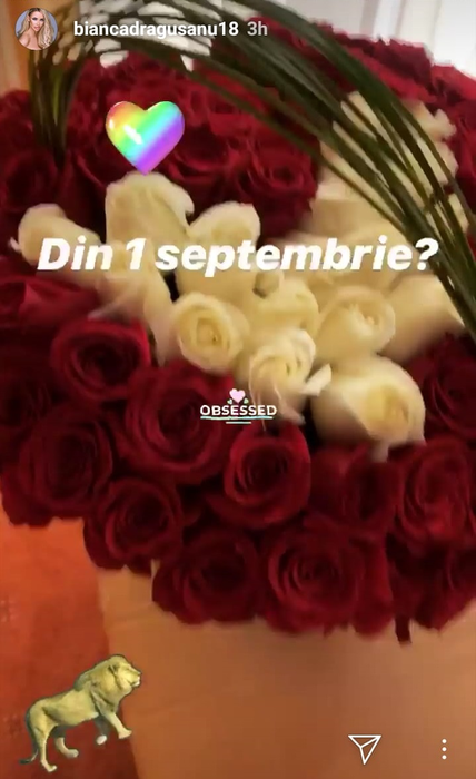 Dovezile sunt clare! Bianca Drăgușanu și Alex Bodi s-au împăcat a treia oară. Cum a fost răsfățată diva