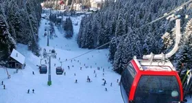 Galerie foto - poza 1