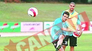 Chivu invata de la Mihajlovic si rade de Adriano