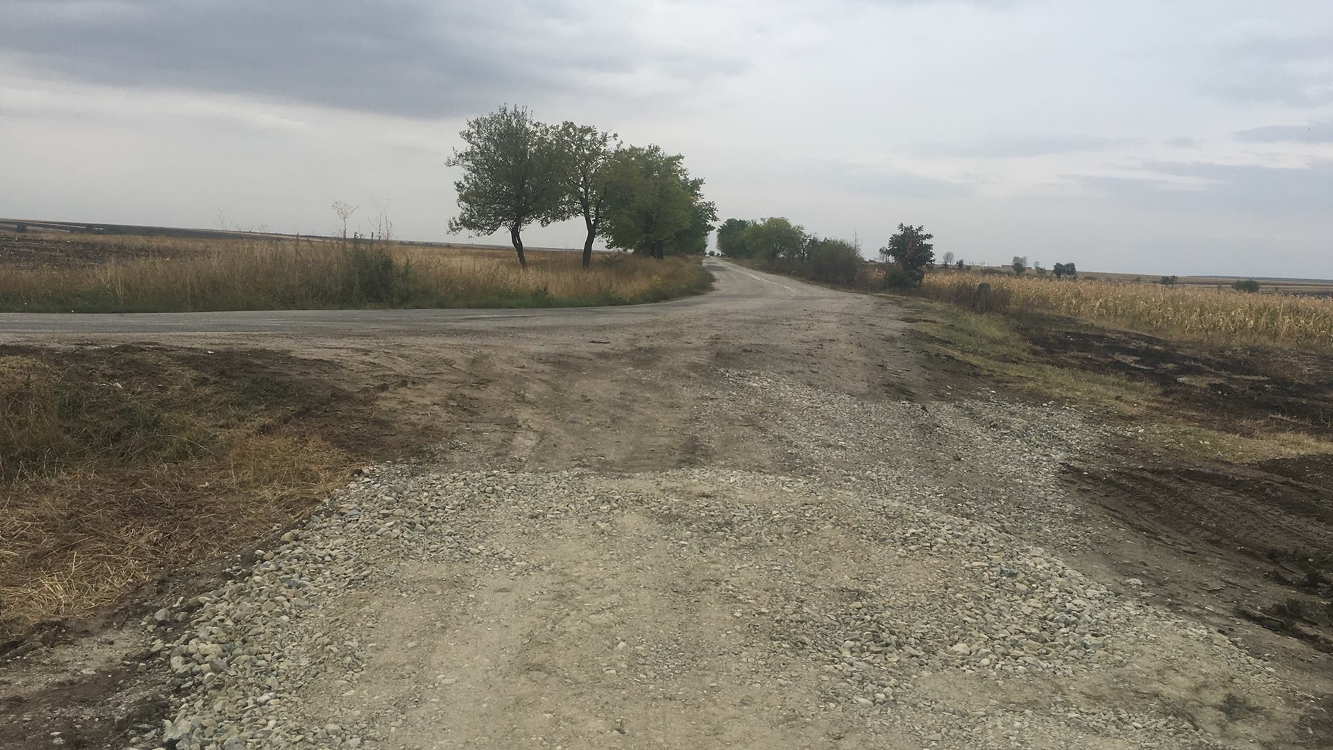 FOTO. Au pus carul înaintea boilor! N-au asfalt pe străzi, dar vor avea pe câmp. Se întâmplă în comuna Secu din Dolj