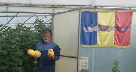 Galerie foto - poza 4