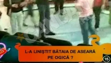 VIDEO Imagini de la bataia dintre Ogica si Florin Dumitrescu! Uite cum s-au injurat in direct!