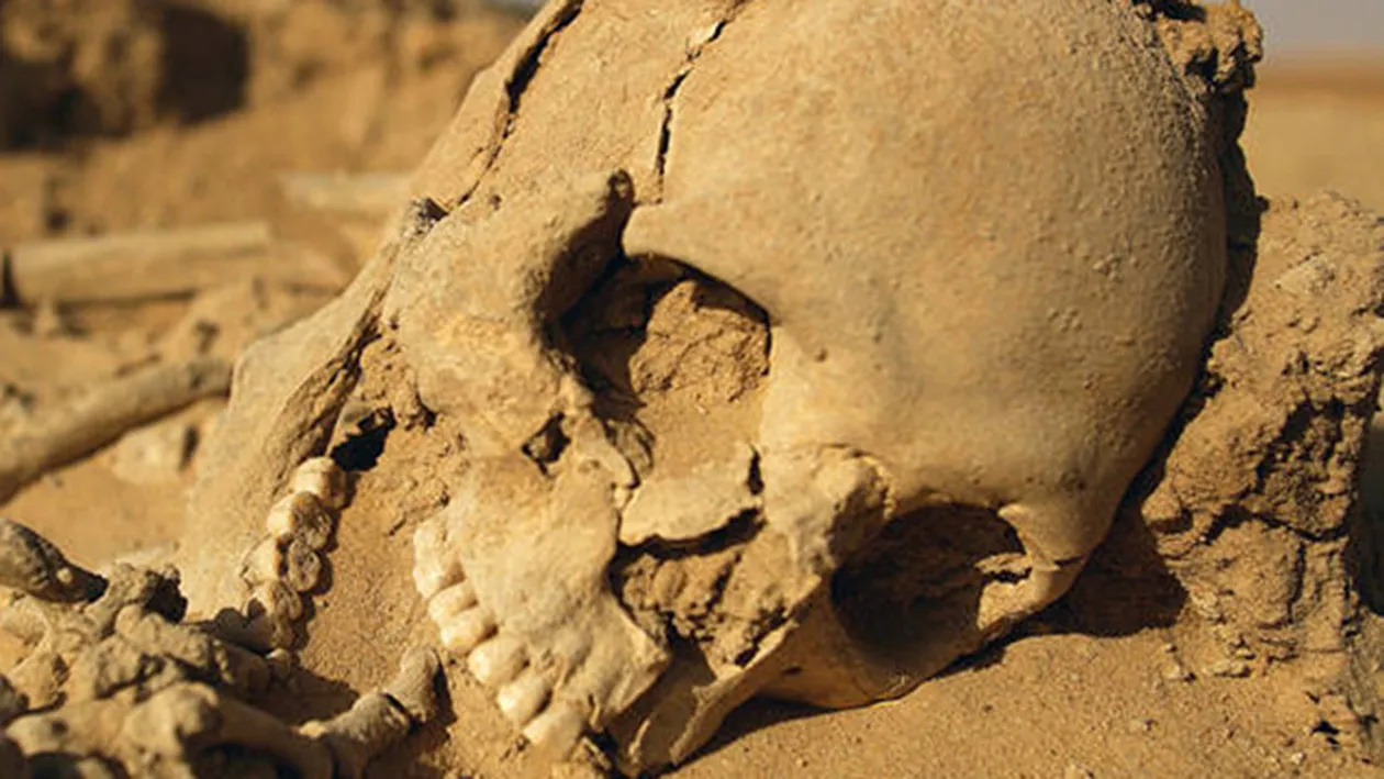 IMAGINILE GROAZEI! Are cel mai ciudat fetis din lume si nu se fereste să o arate! Ce tine in mână aceasta tânără ciudată