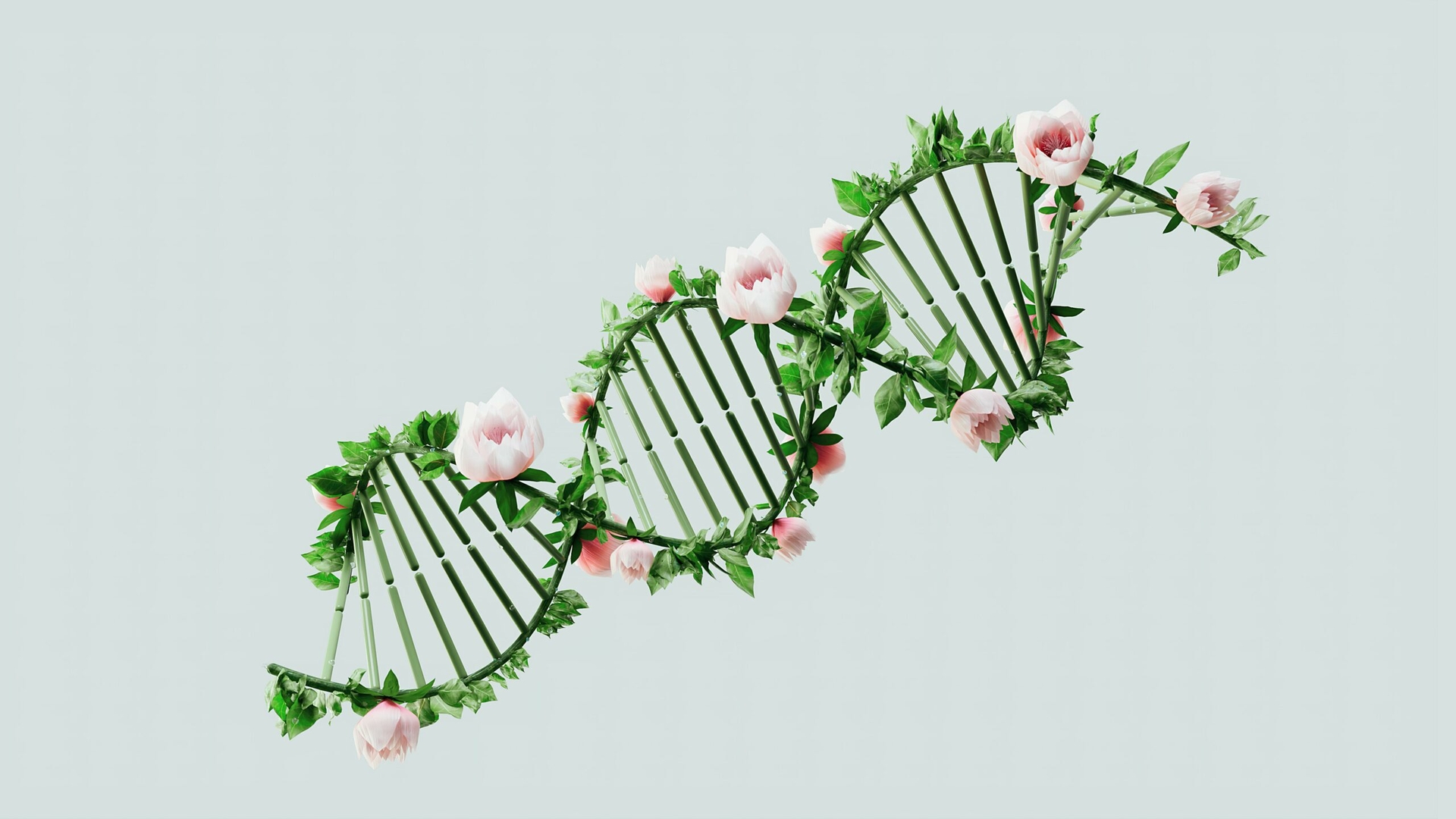 Cât din durata vieții este determinată de gene? Un nou studiu schimbă perspectiva