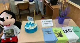 Galerie foto - poza 3