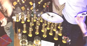 Galerie foto - poza 3