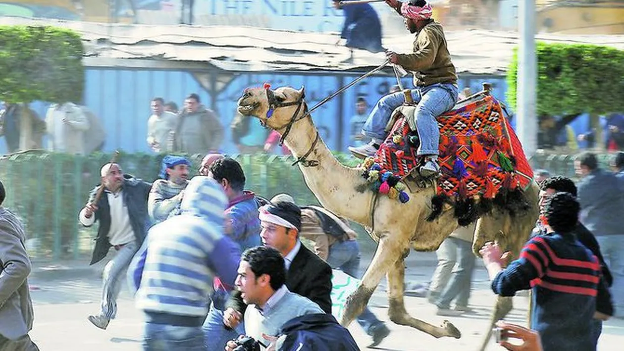 Egiptenii au iesit cu camilele la lupta