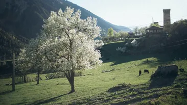 Prognoza meteo azi, 11 martie 2026. Primăvara începe să se simtă: temperaturi de până la 12°C în România