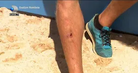 Galerie foto - poza 2