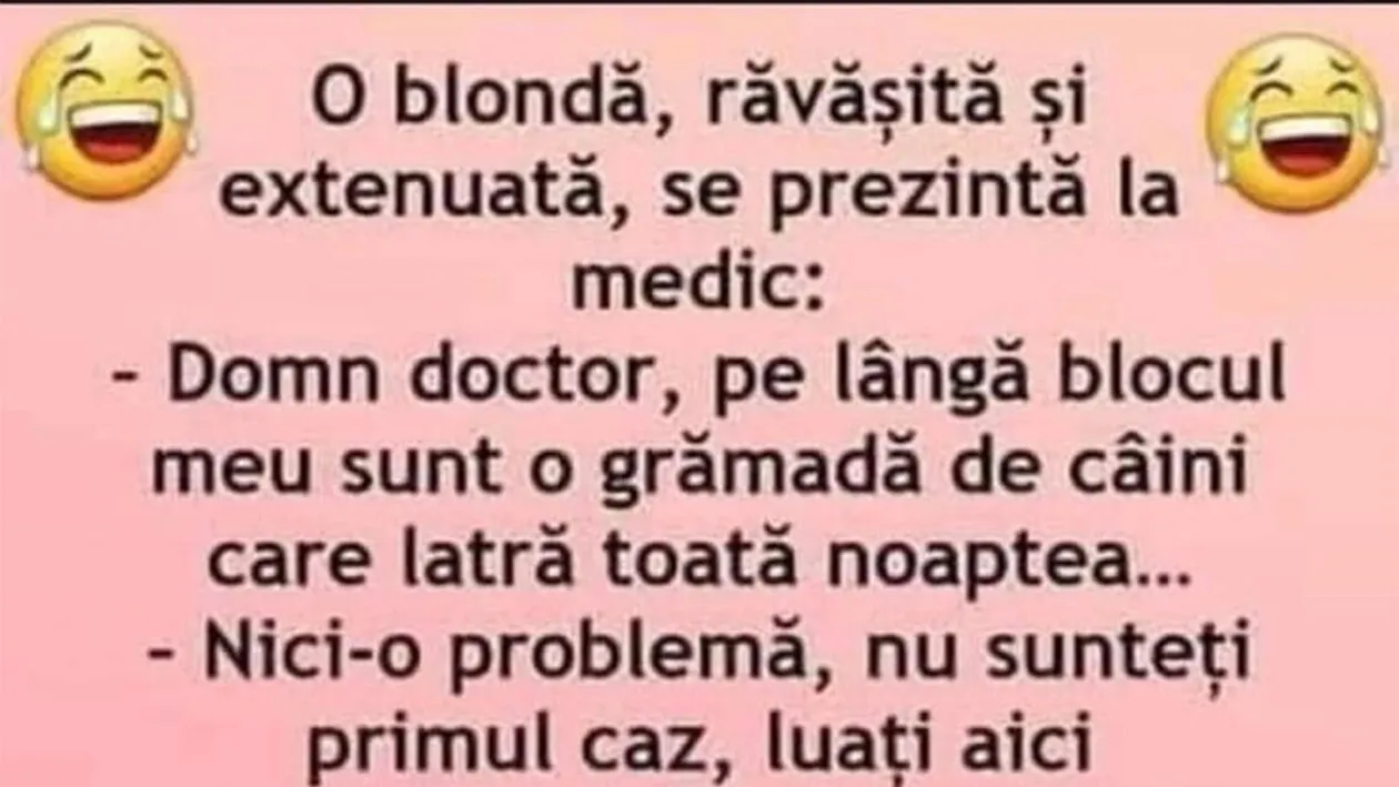 BANC | Doctore, lângă blocul meu sunt mulți câini, care latră toată noaptea