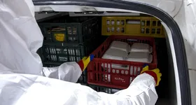 Galerie foto - poza 3