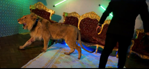 Dani Mocanu sfidează, din nou legea! Manelistul s-a pozat lângă un alt animal sălbatic