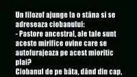 Bancul începutului de săptămână | Un filosof ajunge la o stână și se adresează ciobanului