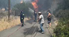 Galerie foto - poza 2